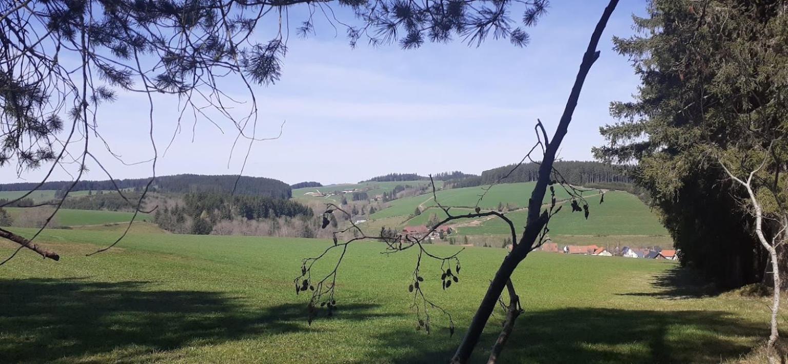 Ferienwohnung Brigachglueck St. Georgen im Schwarzwald Exterior foto